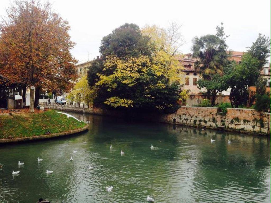 B&B Al Sogno Di Laura Treviso Dış mekan fotoğraf